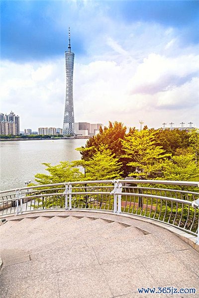 揭秘深圳洋妞网站的真实内幕
